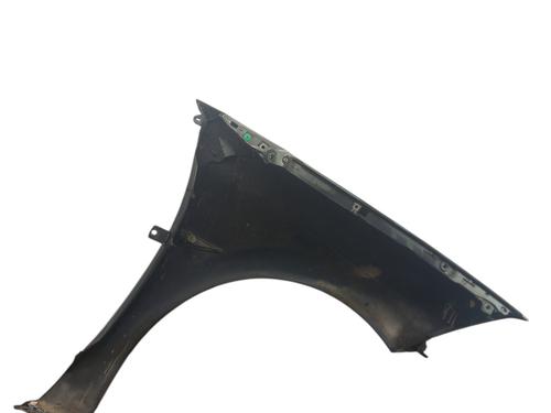 Left front fenders RENAULT MEGANE II (BM0/1_, CM0/1_) 1.4 16V (BM0B, CM0B) | BP25055047C41 