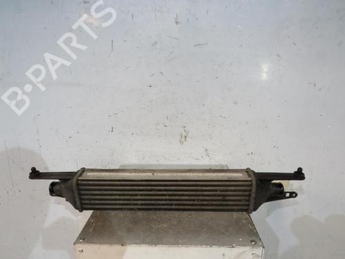 Used Intercooler Intercooler FIAT GRANDE PUNTO (199_) 1.3 D Multijet (75 hp) 25114377 25114377