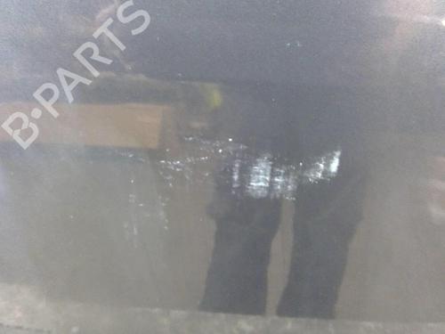 Hood RENAULT CLIO III (BR0/1, CR0/1) 1.5 dCi (C/BR0G, C/BR1G) | BP25082752C1 