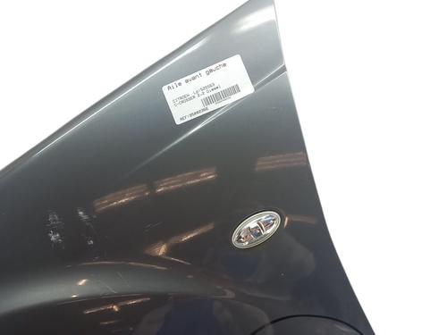 Left front fenders CITROËN C-CROSSER (VU_, VV_) 2.2 HDi | BP25059666C41 