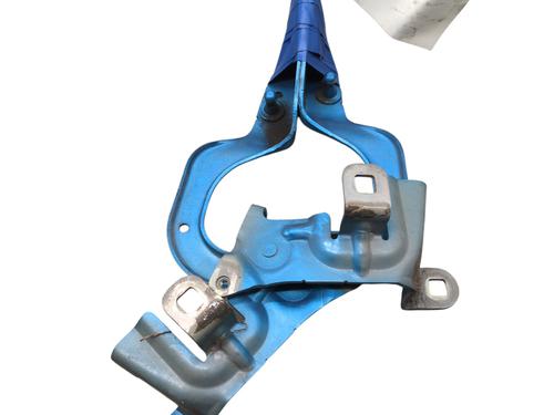 Hinge/Door check strap RENAULT CAPTUR I (J5_, H5_) 1.5 dCi 90 (J5N4, J5M5, J5MW, J5M6, J5AL, J5AJ) | BP30204130C146 