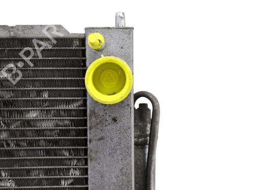AC radiator RENAULT CLIO III (BR0/1, CR0/1) 1.5 dCi (BR17, CR17) | BP30816402M32 
