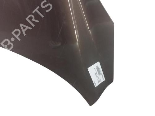 Hood RENAULT SCÉNIC III (JZ0/1_) 1.9 dCi (JZ0J, JZ1J, JZ1K, JZ1S) | BP25073092C1 