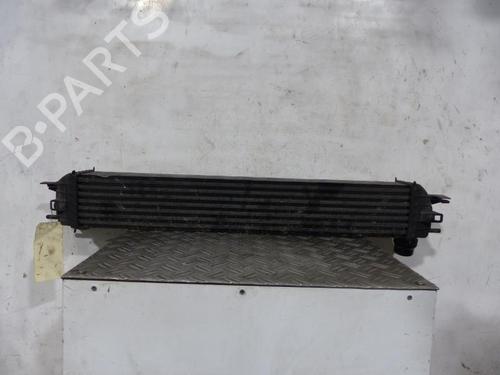 Used Intercooler Intercooler RENAULT LAGUNA III (BT0/1) 2.0 dCi (BT01, BT08, BT09, BT0E, BT0K, BT12, BT1C, BT1D,... (150 hp) 25091321 25091321