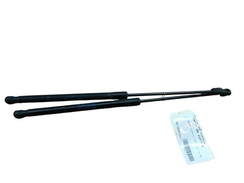 Tailgate lift support VW POLO V (6R1, 6C1)  | BP25060133C138 