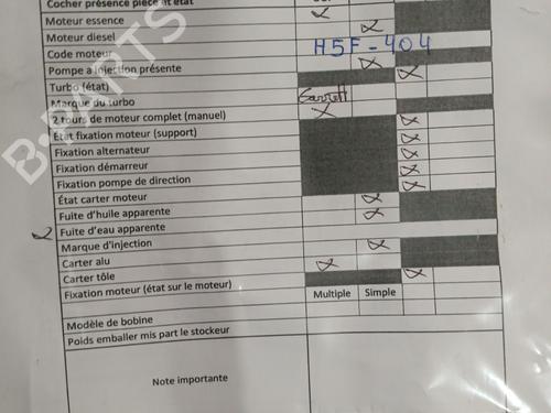 Engine RENAULT SCÉNIC III (JZ0/1_) 1.2 TCe (JZ16) | BP32239235M1