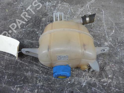 Expansion tank FIAT FIORINO Box Body/MPV (225_) 1.3 D Multijet | BP25083672C120