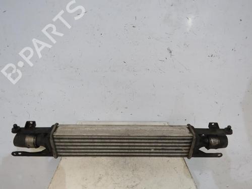 Used Intercooler OPEL CORSA D (S07) 1.3 CDTI (L08, L68) (75 hp) 25114494