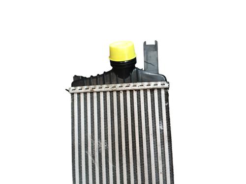 Intercooler RENAULT CLIO IV (BH_) 1.5 dCi 90 | BP29612007M30 
