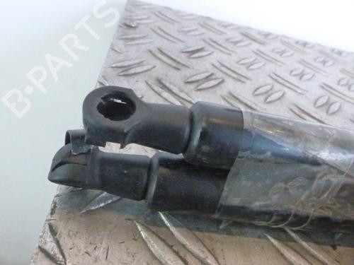 Used Tailgate lift support Tailgate lift support LANCIA MUSA (350_) 1.4 (350.AXA11, 350.AXA1A) (95 hp) 25108428 25108428