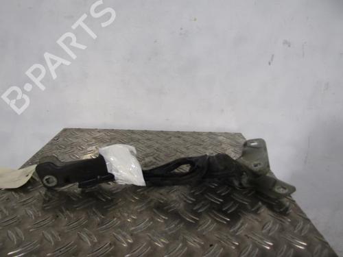Used Hinge/Door check strap RENAULT CLIO III (BR0/1, CR0/1) 1.5 dCi (BR17, CR17) (86 hp) 25096025