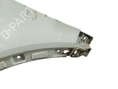 Left front fenders LAND ROVER RANGE ROVER EVOQUE (L538) 2.0 D | BP25102423C41 