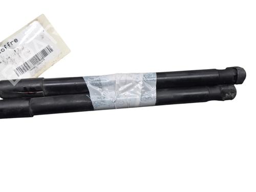 Tailgate lift support PEUGEOT 3008 I MPV (0U_) 1.6 HDi | BP29222017C138 