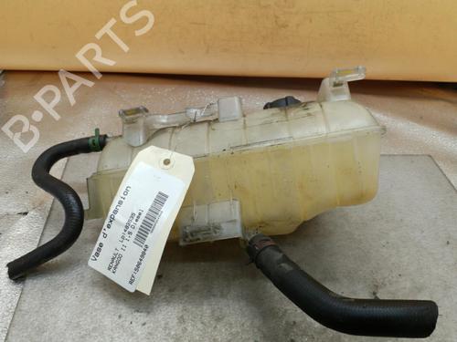 Expansion tank RENAULT KANGOO Express (FC0/1_) 1.5 dCi (FC1G) | BP25081539C120 
