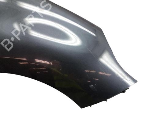 Right front fenders RENAULT SCÉNIC III (JZ0/1_) 1.5 dCi (JZ02, JZ0R) | BP25103947C42 