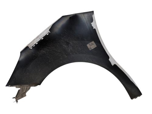 Left front fenders VW POLO V (6R1, 6C1) 1.6 TDI | BP29560661C41 