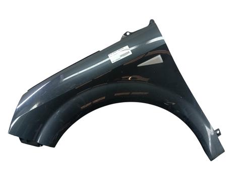 left-front-fenders-renault-scenic-ii-jm01_-2003-2004-2005-2006-2007-2008-2009-2010-33534919 main image
