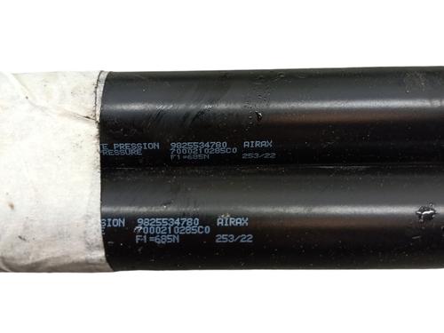 Used Tailgate lift support PEUGEOT 2008 II (UD_, US_, UY_, UJ_, UR_, UC_) 1.2 PureTech 130 (USHNS, URHNS) (130 hp) 25054956