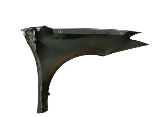 Left front fenders RENAULT LAGUNA III (BT0/1) 2.0 16V (BT05, BT0F, BT0W) | BP29175561C41 