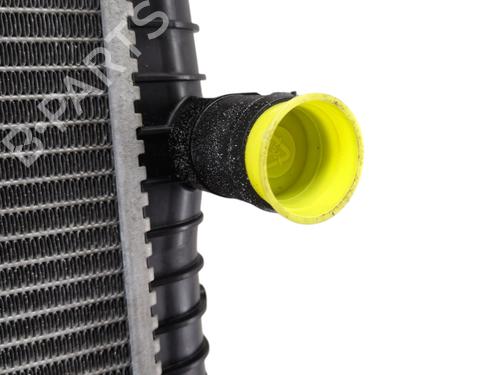 Used Water radiator NISSAN QASHQAI I (J10, NJ10) 1.6 dCi (130 hp) 32064960