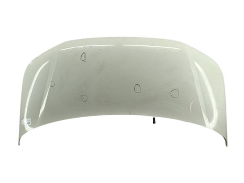 Motorhjelm VW TRANSPORTER T5 Van (7HA, 7HH, 7EA, 7EH) 2.0 TDI | BP31074813C1 