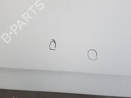 Right front door FIAT GRANDE PUNTO (199_)  | BP25054211C3 