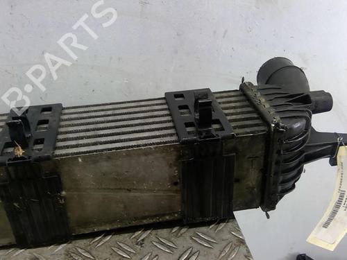 Used Intercooler RENAULT LATITUDE (L70_) 3.0 dCi 240 (L70G) (241 hp) 25063213