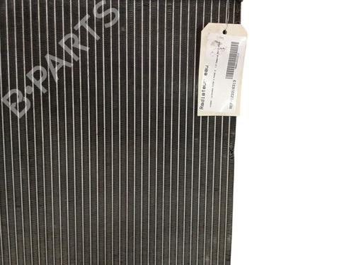 Used Water radiator Water radiator NISSAN MICRA IV (K13K, K13KK) 1.2 (80 hp) 33804168 33804168