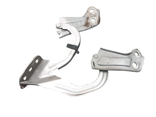 Hinge/Door check strap FORD FOCUS III 1.6 TDCi | BP32269850C146