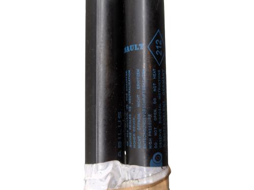 Tailgate lift support RENAULT TWINGO II (CN0_) 1.2 16V (CN04, CN0B) | BP31188681C138