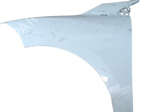 Left front fenders RENAULT MEGANE III Grandtour (KZ0/1) 1.5 dCi (KZ09, KZ0D, KZ1G, KZ29, KZ14, KZ1W, KZ10, KZ1F,... | BP27293698C41 