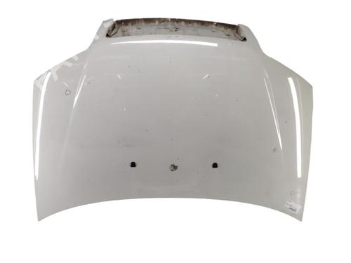 Hood FIAT PUNTO (188_)  | BP25103086C1 