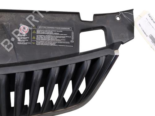 Grille SKODA FABIA II (542) 1.6 TDI | BP29630276C40 