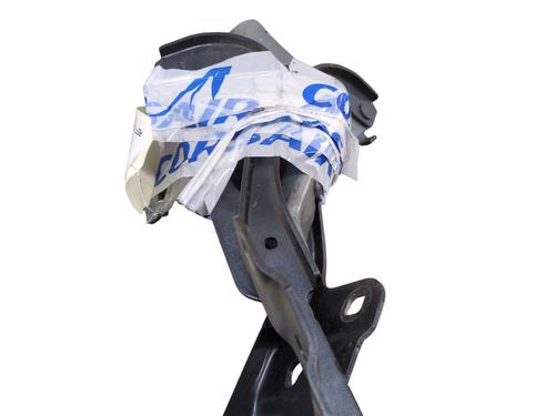 Used Hinge/Door check strap RENAULT CLIO V (B7_) 1.0 TCe 100 (B7MT) (101 hp) 31213922