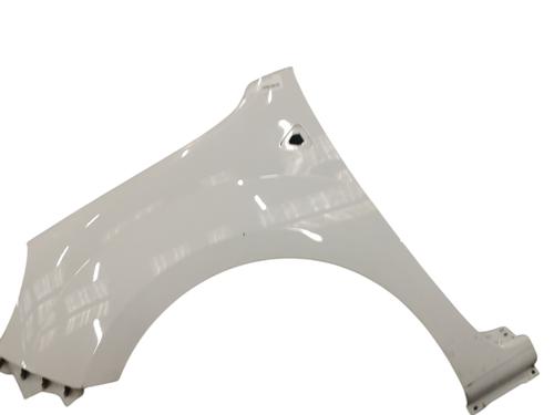 left-front-fenders-renault-kangoo-express-fw01_-2008-33634814 main image
