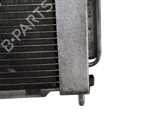 Used AC radiator RENAULT CLIO III (BR0/1, CR0/1) 1.5 dCi (BR17, CR17) (86 hp) 30816402