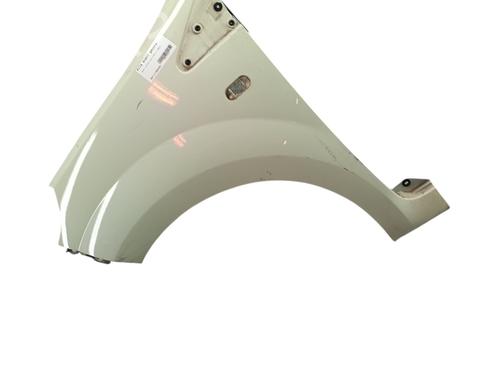 Used Left front fenders RENAULT TWINGO II (CN0_) 1.2 16V (CN04, CN0B) (75 hp) 31070684