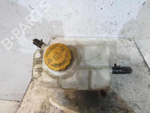 Used Expansion tank CHEVROLET AVEO / KALOS Hatchback (T250, T255) [2006-2025]  25066800