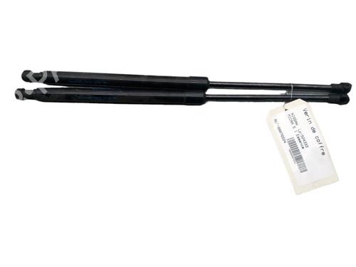Tailgate lift support NISSAN MICRA V (K14) 1.0 IG-T | BP25054018C138