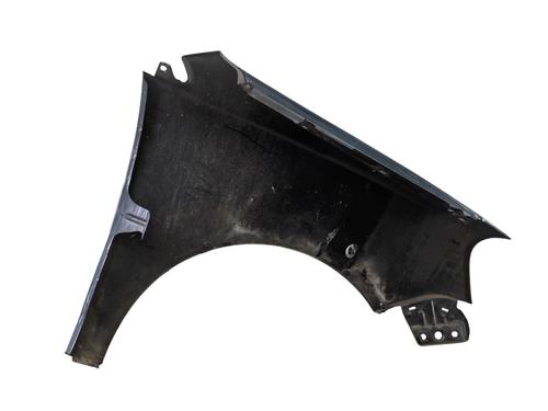Left front fenders VW POLO IV (9N_, 9A_) 1.4 TDI | BP29887666C41