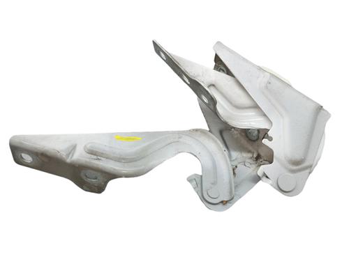 Hinge/Door check strap SEAT IBIZA IV SC (6J1, 6P5) 1.4 | BP25103970C146 