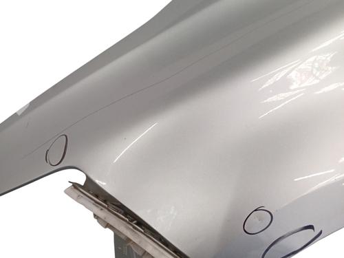 Used Left front fenders Left front fenders CITROËN C4 Picasso II [2013-2026] 33738971 33738971