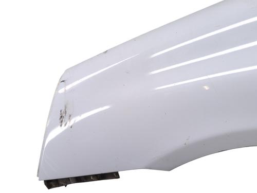 Used Left front fenders RENAULT CLIO II (BB_, CB_) 1.2 (BB0A, BB0F, BB10, BB1K, BB28, BB2D, BB2H, CB0A,... (58 hp) 30083175