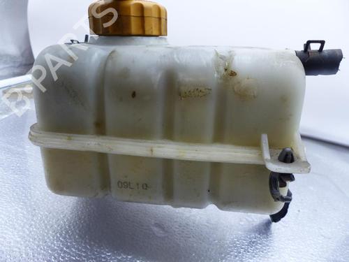 Used Expansion tank Expansion tank CHEVROLET AVEO / KALOS Hatchback (T250, T255) 1.4 (101 hp) 25064670 25064670