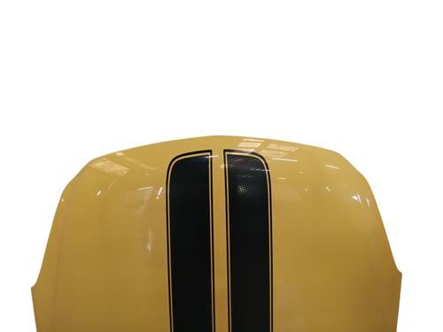 Capot Capot OPEL CORSA D (S07) 1.4 (L08, L68) (100 hp) 35891224 35891224