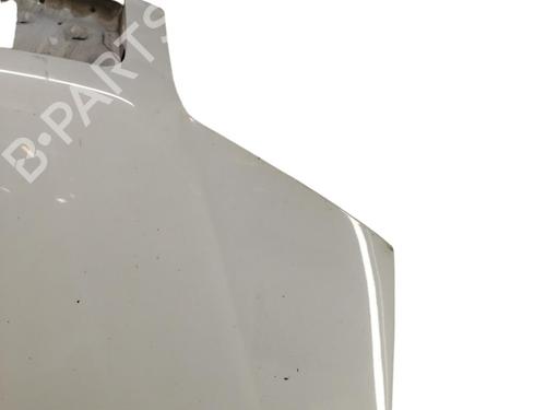 Hood FIAT PUNTO (188_)  | BP25103086C1 