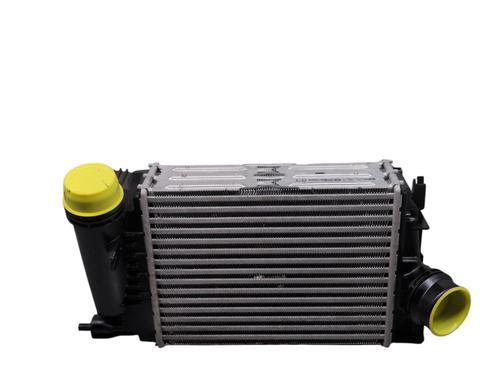 Used Intercooler Intercooler RENAULT TALISMAN (LP_) 1.3 TCe 160 (LPNC) (160 hp) 33028840 33028840