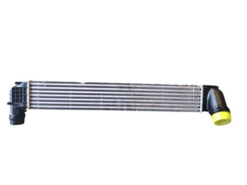 Intercooler RENAULT MEGANE III Hatchback (BZ0/1_, B3_) 1.9 dCi (BZ0N, BZ0J) | BP29431027M30 