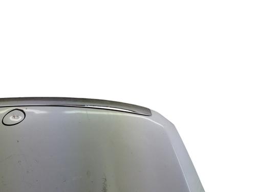 Hood FORD KUGA I 2.0 TDCi | BP28580169C1 