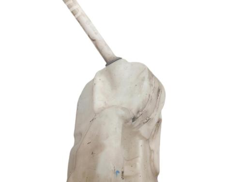 Windscreen washer tank NISSAN QASHQAI / QASHQAI +2 I (J10, NJ10, JJ10E) 1.5 dCi | BP25101068C113 